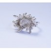 Gum succulent ring