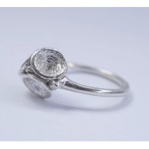 Trio Leucoxylon Ring