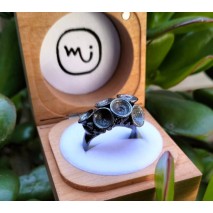 Cluster Leucoxylon ring