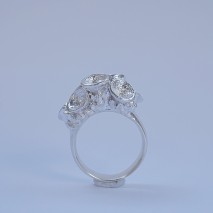 Cluster Leucoxylon ring