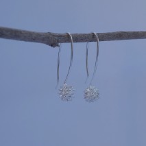 Sheoak Casuarina Earrings