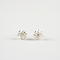 Sheoak Casuarina Studs